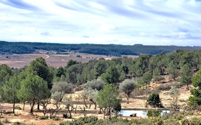 Casa De Campo En venta en Vía, 1, Requena photo 0