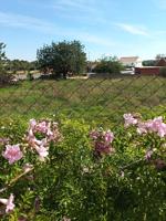 Terreno Urbanizable En venta en Pla Dels Aljubs, La Pobla De Vallbona photo 0