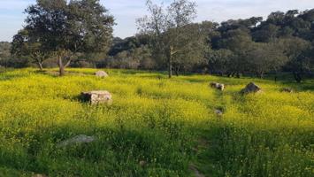 Parcela en venta en Urbanización Campomanes en Badajoz photo 0