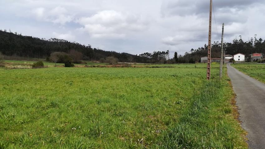 FINCA EDIFICABLE EN AMES photo 0