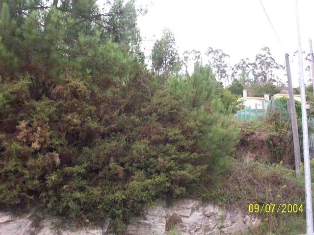 FINCA EN ZONA ROXOS photo 0