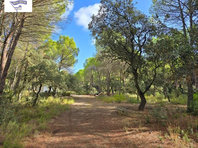 Terreno Urbano en Pinares del Júcar, Albacete photo 0