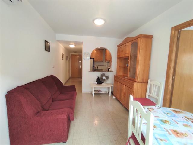 VENTA EN RENTABILIDAD. 1 DORMITORIO ZONA EL MOLINO TORREVIEJA photo 0
