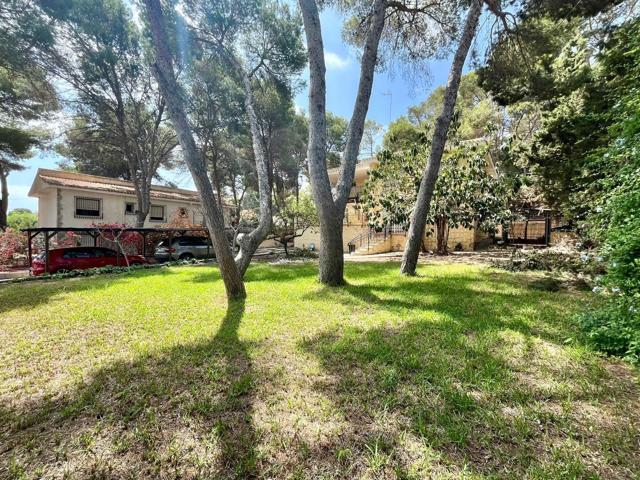 VILLA EN URB. LOS BALCONES TORREVIEJA photo 0