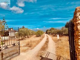 CASA DE CAMPO EN S´ARANJASSA-LLUCMAJOR. MALLORCA photo 0