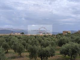 FINCA RUSTICA URBANIZABLE EN VENTA - SA POBLA photo 0