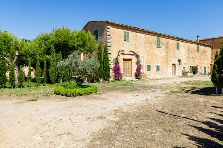 Exclusiva Finca Histórica en Palma de Mallorca - Son Gallard photo 0