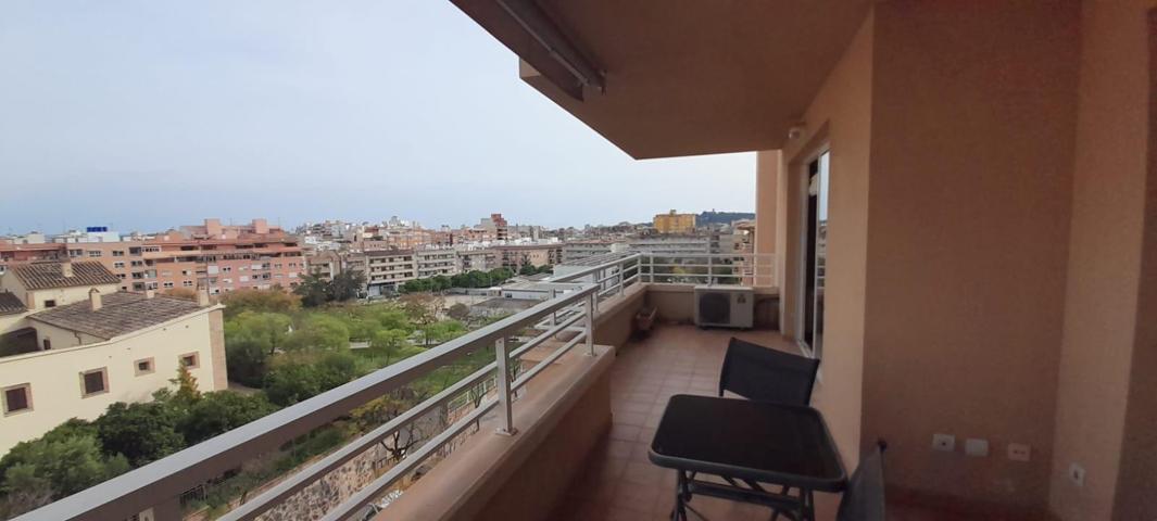 Amplio piso en Son Dameto en alquiler photo 0