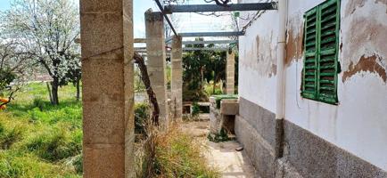 CASA EN ESTADO DE ORIGEN, EN UN TERRENO RÚSTICO DE 3.234 M² EN ES SECAR DE LA REAL. photo 0