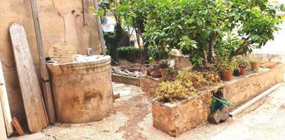 CASA CON JARDÍN Y GARAJE EN SON RAPINYA (De origen) photo 0