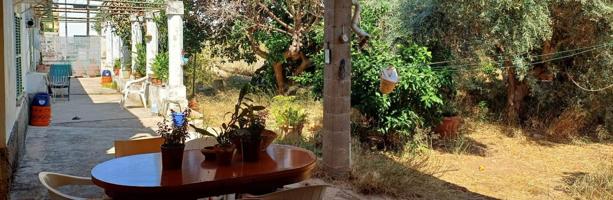 CASA CON GRAN JARDÍN EN SON SERRA (a reformar Integralmente) Se puede hacer una piscina. photo 0
