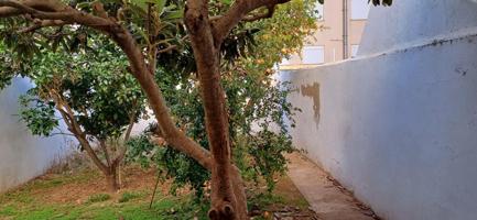 LOCAL - VIVIENDA CON JARDÍN EN SON COTONER. photo 0