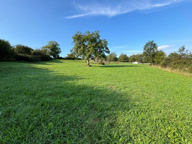 Terreno Urbanizable En venta en Lugar Ayones, San Claudio-Trubia-Las Caldas, Oviedo photo 0