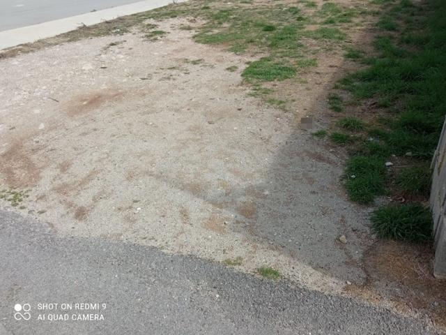 Terreno zona polideportivo,puedes construir tu propia casa, photo 0