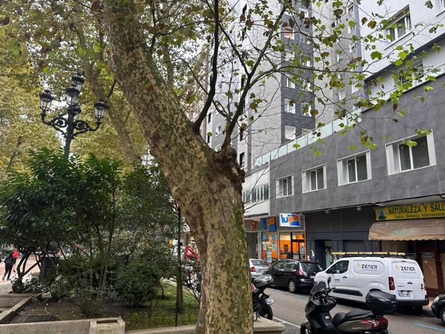 Oficina en Santander, amplia, exterior y visible a los clientes photo 0