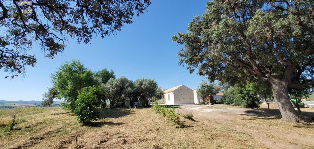 SE VENDE FINCA RÚSTICA EN ARCOS DE LA FRONTERA photo 0