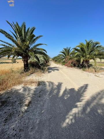 SE VENDE FINCA RÚSTICA EN ARCOS DE LA FRONTERA photo 0