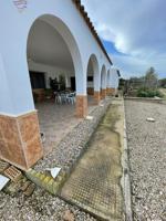FINCA EN VENTA POR LA ZONA DEL ROMERAL photo 0