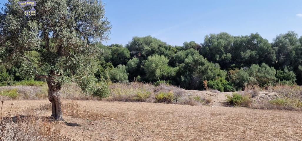 SE VENDE PARCELA EN CARRETERA ARCOS-ALGAR photo 0