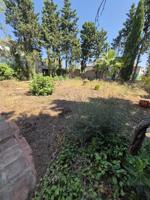 SE VENDE PARCELA EN ZONA EL SANTISCAL photo 0