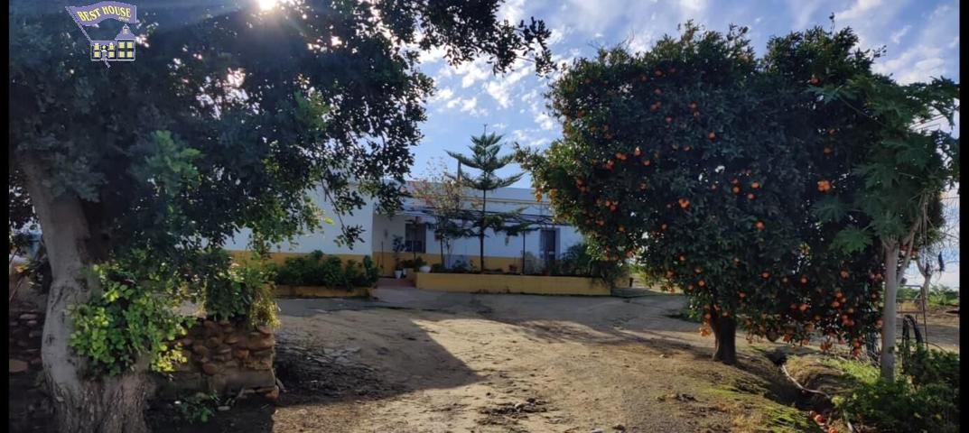 SE VENDE FINCA EN ZONA EL ROMERAL photo 0