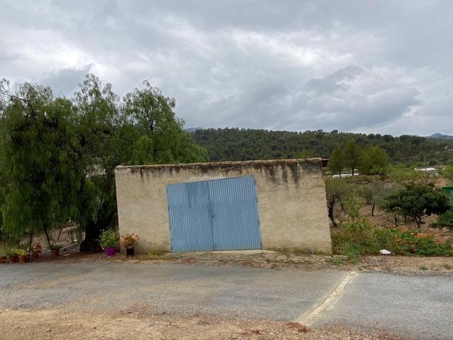 SE VENDE CASA CON TERRENO EN CAMPO DE RICOTE photo 0