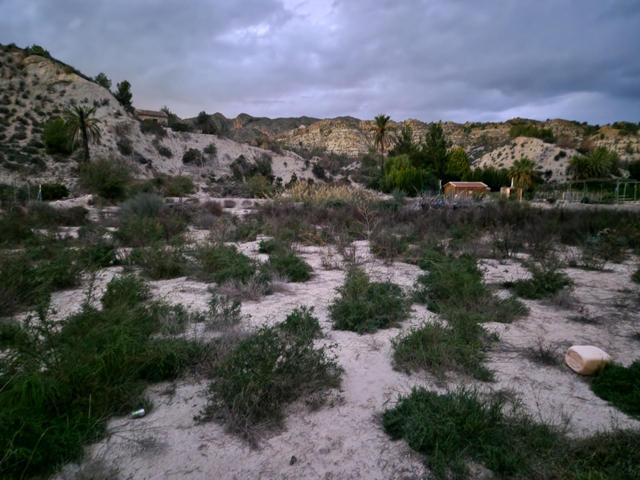 Se vende finca en Ulea photo 0