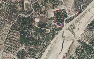 Se vende terreno rustico en zona Los Intes photo 0