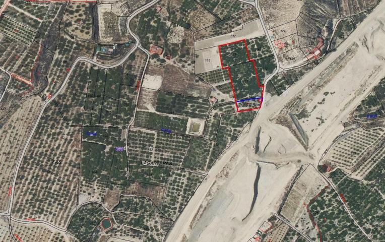Se vende terreno rustico en zona Los Intes photo 0
