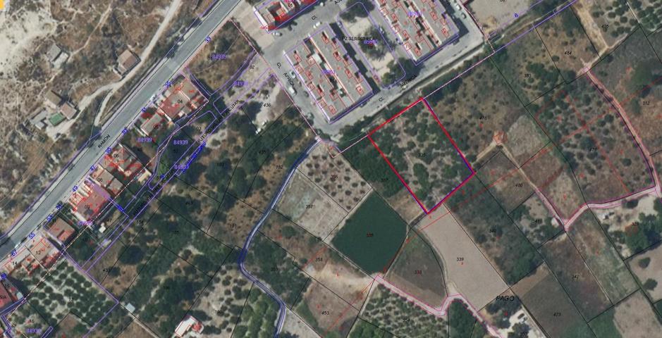 Se vende terreno rústico en zona noria Archena photo 0