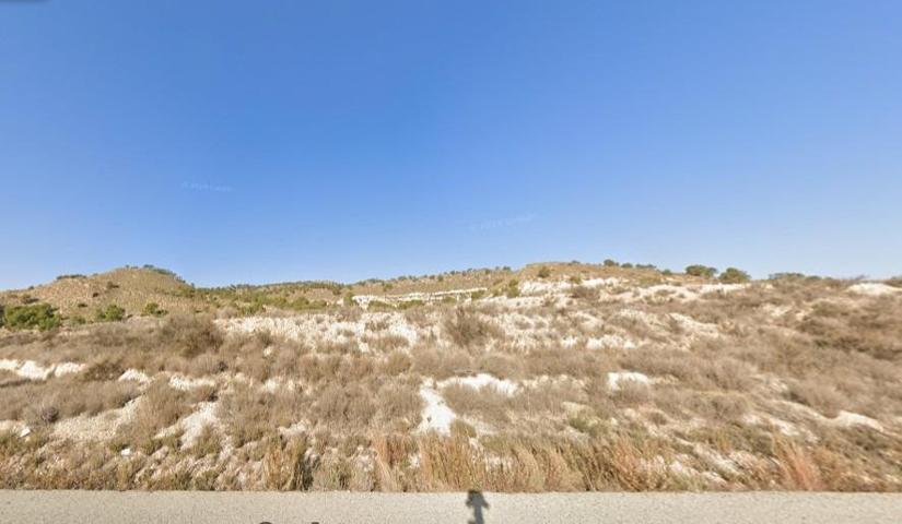 SE VENDE FINCA RUSTICA SECANO EN EL ALGARROBO (ABANILLA) photo 0