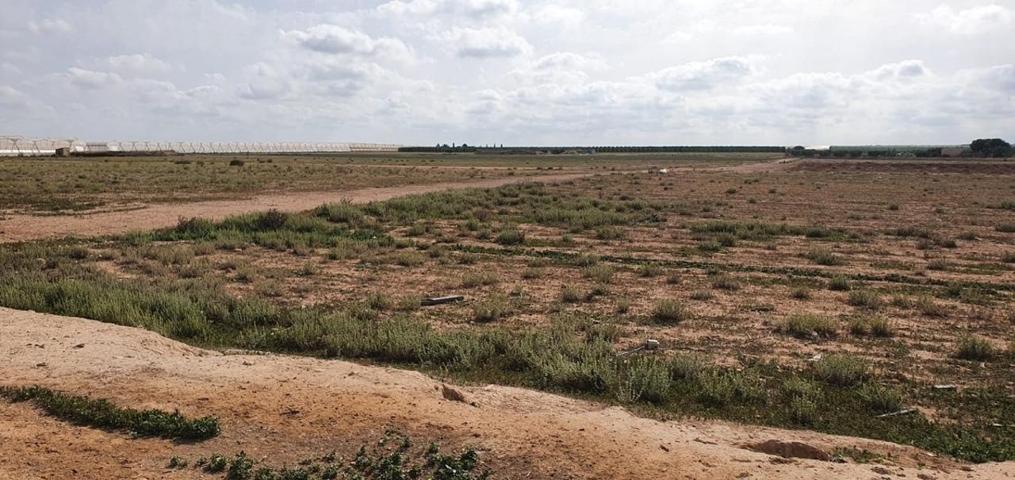 SE VENDE FINCA RUSTICA EN BALDERAS (LOS MARTINEZ DEL PUERTO) photo 0