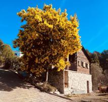 PRECIOSA CASA DE MADERA EN VENTA EN CAN CLARAMUNT CON GRAN PARCELA DE 1.000 M2 photo 0