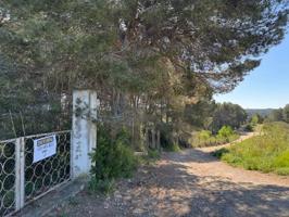 GRAN PARCELA RUSTICA EN VENTA EN TERMINO DE ABRERA (MAS D´EN RIBES) photo 0