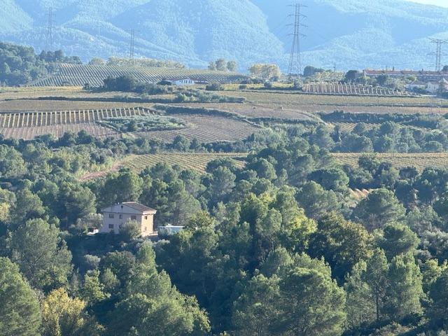 FANTASTICA CASA RURAL EN PLENA NATURALEZA CON 57.368 M2 DE PARCELA photo 0