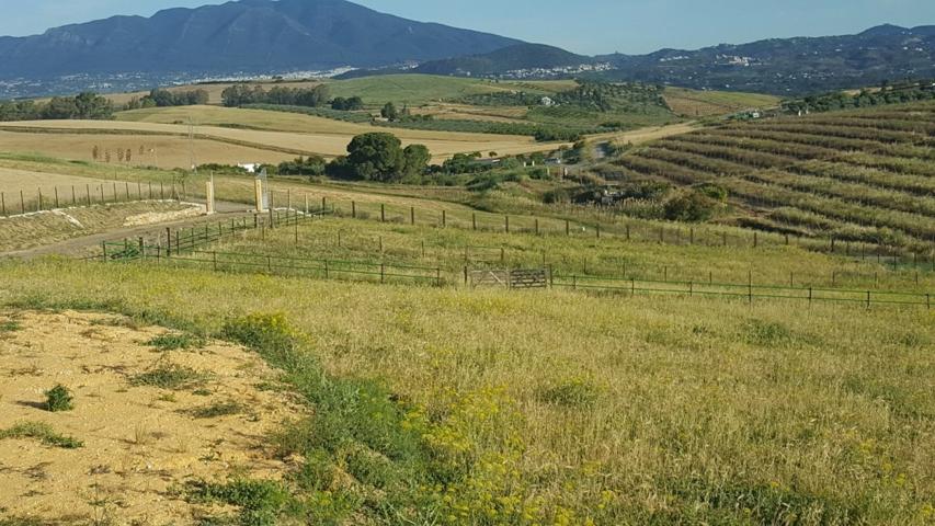 SE VENDE PARCELA RUSTICA EN COIN photo 0