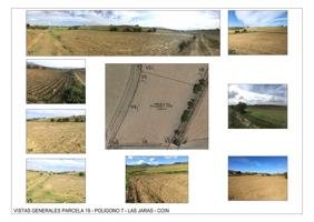 Irrigated farm for sale in Coin photo 0