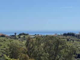 Parcela Rustica de 26.000 mil metros con vistas al mar en Mijas photo 0