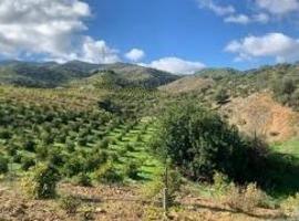 parcela suelo rustico Alora photo 0