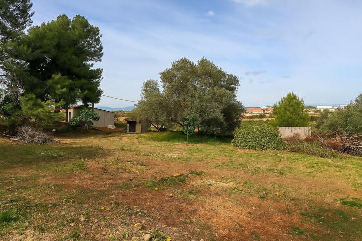 Terreno Urbanizable En venta en Plaza Numero 16, Los Felipes - Corral De Carmelo, Chiva photo 0