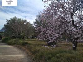 OPORTUNIDAD TERRENO CON REFUGIO EN AGULLENT-ALBAIDA photo 0