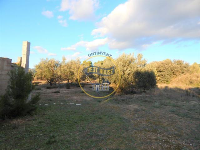 TERRENO ONTINYENT photo 0