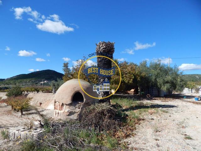 OPORTUNIDAD!! TERRENO AGRICOLA EN PLENA PRODUCCIÓN EN ONTINYENT (VALENCIA) photo 0