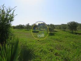 TERRENO CON POSIBILIDAD DE CONSTRUIR DOS CASITAS DE CAMPO MUY CERCA TÉRMINO AGULLENT photo 0