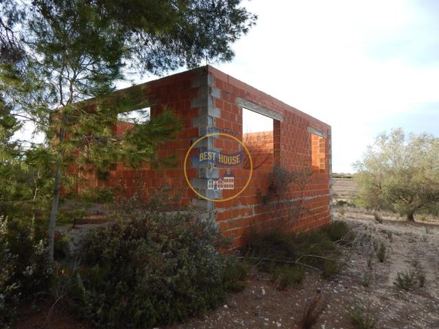 TERRENO CON POSIBILIDADES EN PALOMAR (VALENCIA) photo 0