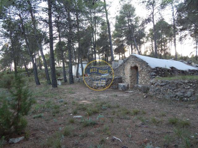 AMPLIO TERRENO CON REFUGIO, ASEO Y POZO DE AGUA NATURAL EN LA SIERRA MARIOLA DE BOCAIRENT (VALENCIA) photo 0