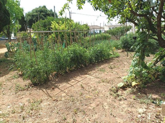 Terreno Urbanizable En venta en Son Ferriol - Sant Jordi, Palma De Mallorca photo 0