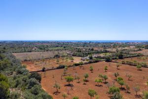Terreno Urbanizable En venta en Ma-4014, Manacor Centro, Manacor photo 0