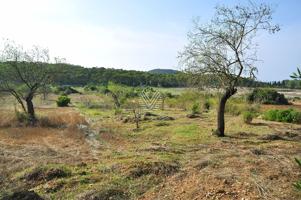 Terreno Urbanizable En venta en Camino De Son Baró, Sant Joan photo 0