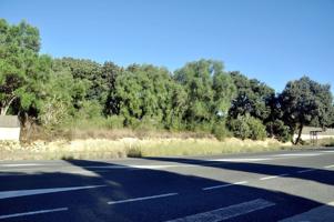 Terreno Urbanizable En venta en Pobla (sa) photo 0